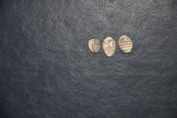 post-12992-0-32996700-1344268229_thumb.j