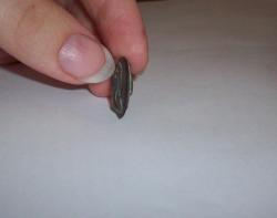 post-13407-0-63175100-1345965711_thumb.j