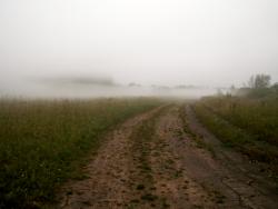 post-1697-0-09310000-1344255836_thumb.jp