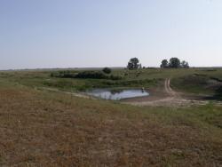 post-1697-0-15685700-1344947603_thumb.jp