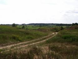 post-1697-0-17954900-1344256101_thumb.jp