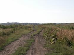 post-1697-0-22944200-1344947042_thumb.jp