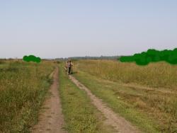 post-1697-0-33244600-1344256333_thumb.jp