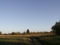 post-1697-0-48598200-1345461822_thumb.jp