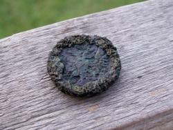 post-1697-0-59819100-1344256458_thumb.jp