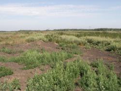 post-1697-0-63008100-1344947453_thumb.jp