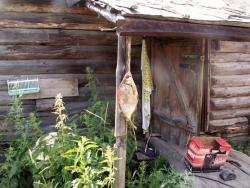 post-1697-0-85136700-1344256283_thumb.jp