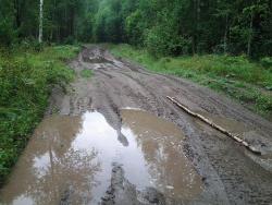 post-2349-0-75742400-1344225702_thumb.jp