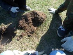 post-2817-0-09025300-1345729240_thumb.jp