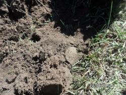 post-2817-0-09372600-1345729231_thumb.jp