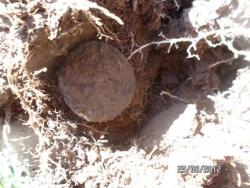 post-2817-0-21795200-1345729247_thumb.jp