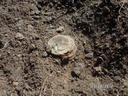 post-2817-0-78779000-1346048095_thumb.jp