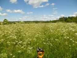 post-2838-0-03846300-1343937086_thumb.jp