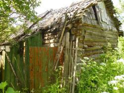 post-2838-0-12367700-1343937008_thumb.jp