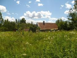 post-2838-0-26575500-1343938474_thumb.jp