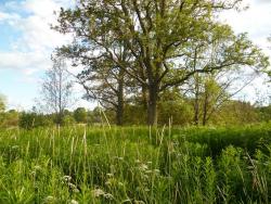 post-2838-0-33720700-1343938368_thumb.jp