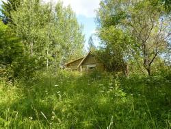 post-2838-0-52443100-1343938315_thumb.jp