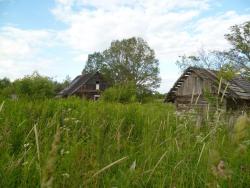 post-2838-0-90068200-1343936649_thumb.jp