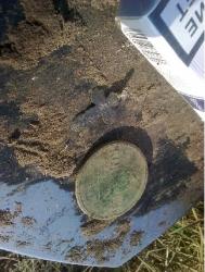 post-2956-0-22010700-1344254640_thumb.jp