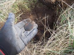 post-4269-0-07781000-1344098680_thumb.jp