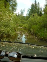 post-4485-0-01737700-1344880091_thumb.jp