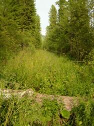 post-4485-0-04707400-1344881851_thumb.jp