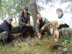 post-4485-0-11621400-1346086250_thumb.jp