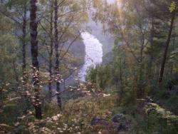 post-4485-0-12886500-1344795800_thumb.jp