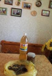 post-4485-0-15974600-1346080494_thumb.jp