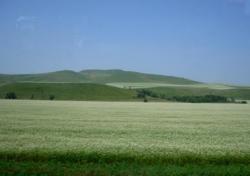 post-4485-0-16475000-1344791688_thumb.jp