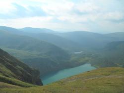 post-4485-0-25492300-1345557086_thumb.jp