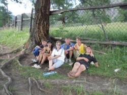 post-4485-0-35540700-1344860929_thumb.jp