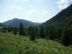 post-4485-0-35866900-1344857865_thumb.jp