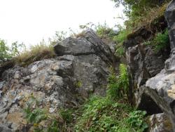 post-4485-0-37973500-1345556848_thumb.jp