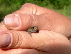 post-4485-0-39076100-1344927382_thumb.jp