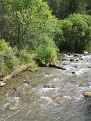 post-4485-0-44127400-1344860033_thumb.jp