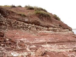 post-4485-0-53379500-1345049931_thumb.jp