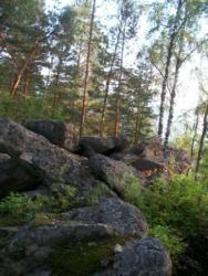 post-4485-0-54779300-1344796044_thumb.jp