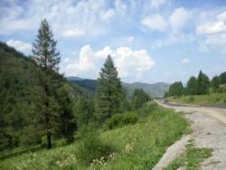 post-4485-0-55319200-1344792285_thumb.jp