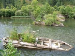 post-4485-0-83540400-1344880058_thumb.jp