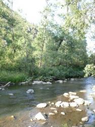 post-4485-0-91191000-1344792490_thumb.jp