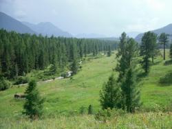 post-4485-0-95394000-1344859853_thumb.jp