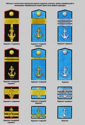 post-4840-0-58881600-1346414805_thumb.jp