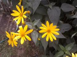 post-4989-0-56056400-1345705608_thumb.jp