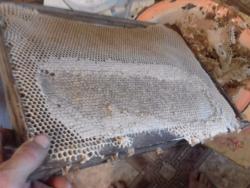 post-4989-0-85445500-1344255220_thumb.jp