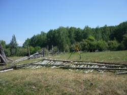 post-5029-0-15151400-1345870109_thumb.jp