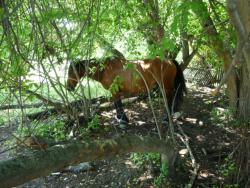 post-5029-0-33084400-1345870134_thumb.jp