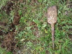 post-5029-0-40800300-1345885126_thumb.jp