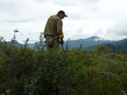 post-5029-0-86170300-1345885117_thumb.jp