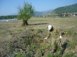 post-5029-0-86499500-1345869520_thumb.jp